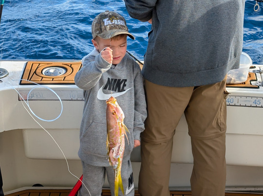 Fish Riviera Maya-阿范特拉斯港必去景点