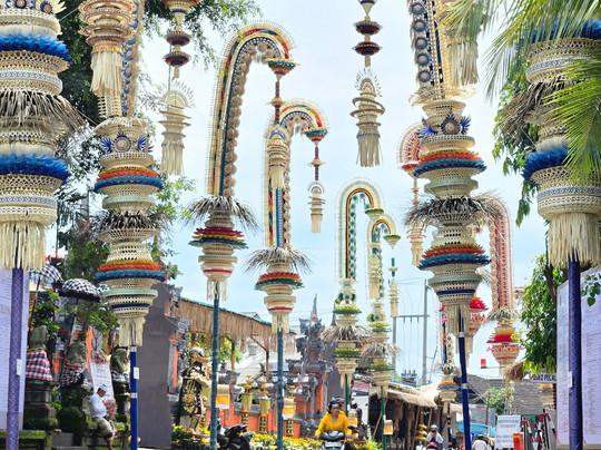 Wayan Putra Guide Francophone-乌布必去景点