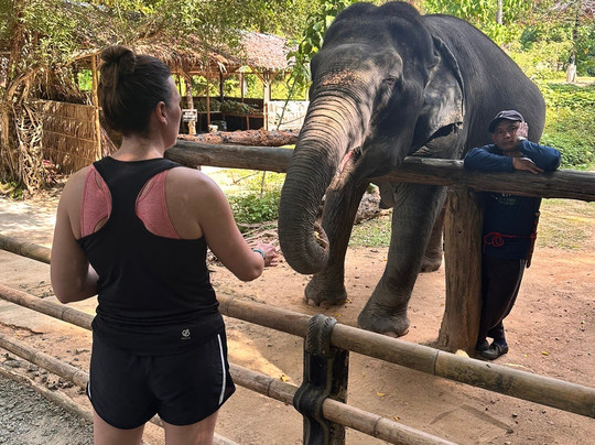 Hidden Forest Elephant Reserve-查龙必去景点