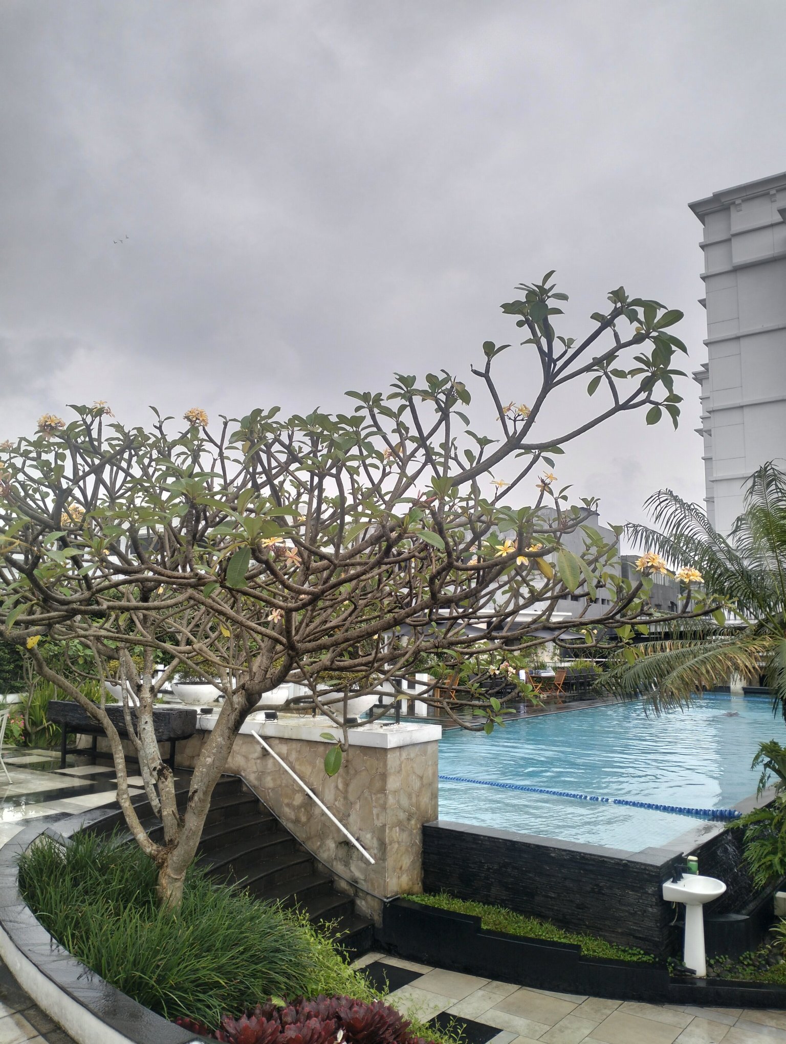 帕帕达亚酒店-官方