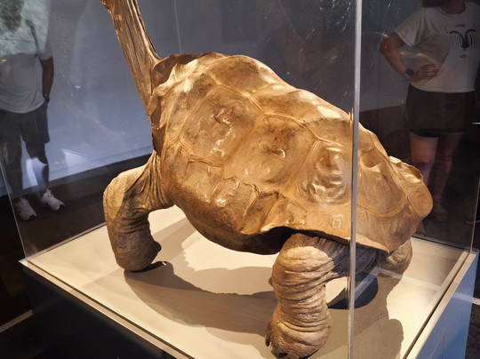 Charles Darwin Research Station-阿约拉港必去景点