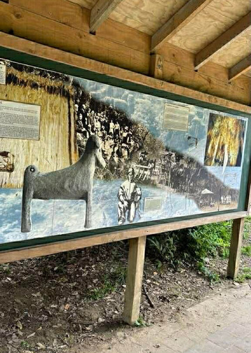 Ruakuri Walk-怀托摩洞穴必去景点