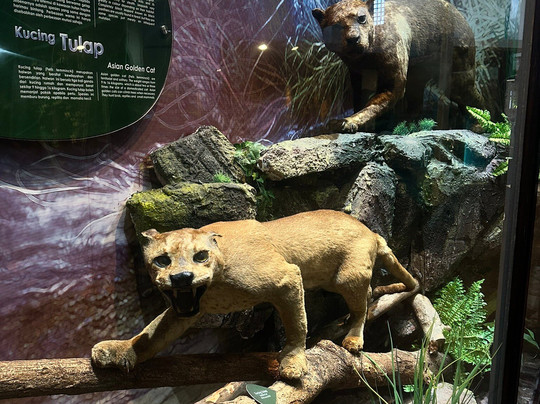 Perak Museum-太平必去景点