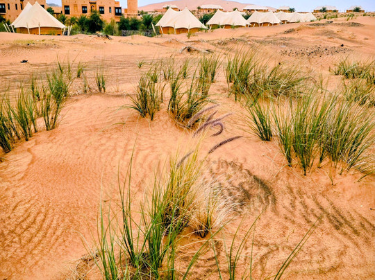 Al Badayer Retreat By Sharjah Collection主图