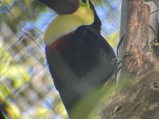 Centro de Rescate Las Pumas-Canas必去景点
