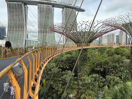 擎天树丛-新加坡必去景点