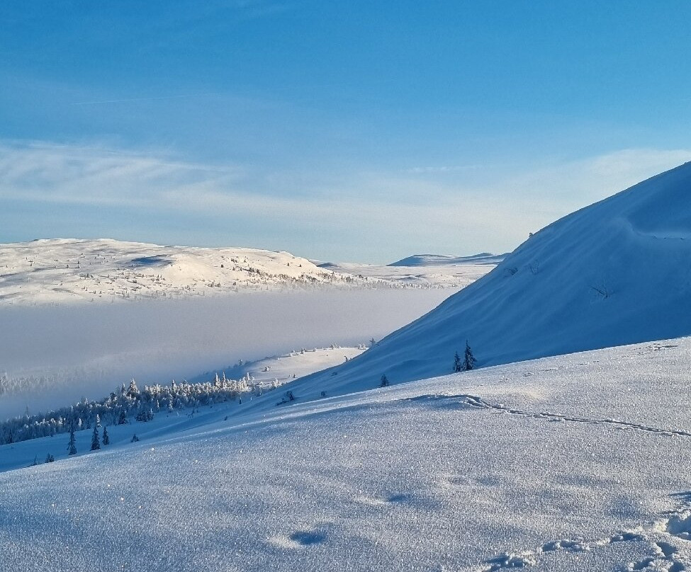 Venabu Fjellhotell og Hytter主图