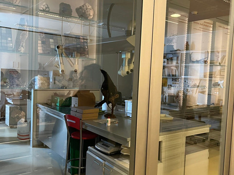 MUSE - Science Museum-特伦托必去景点