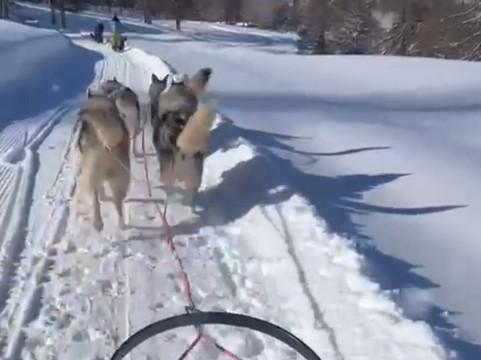 The Husky Experience Sestriere-Sestriere必去景点