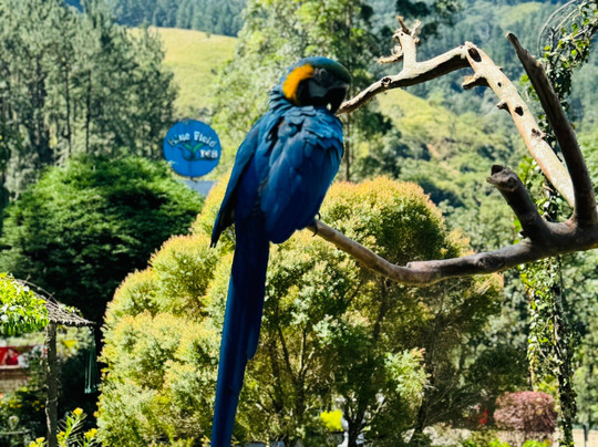 Andrews Eco Tours and Taxi-奴娃拉伊利雅必去景点