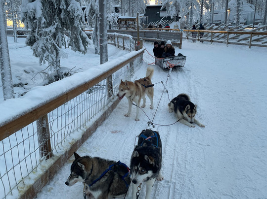 Arctic Circle Husky Park-罗瓦涅米必去景点