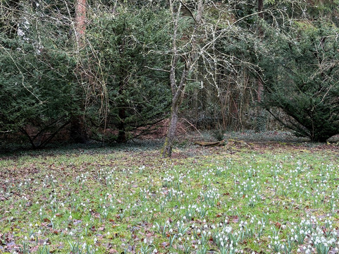 Evenley Wood Garden-Evenley必去景点