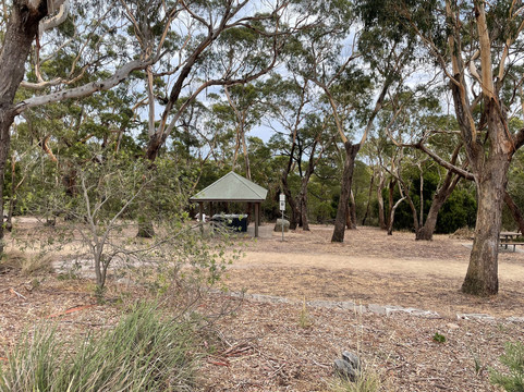 Arthurs Seat State Park-Arthurs Seat必去景点