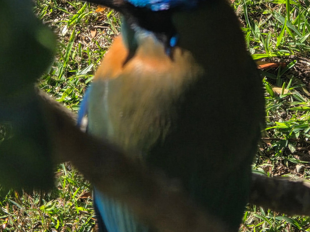 Costa Rica Decouverte-圣何塞必去景点