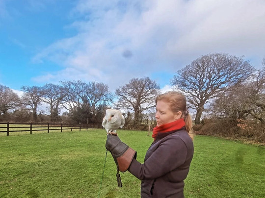 Falconry Kerry-基拉尼必去景点