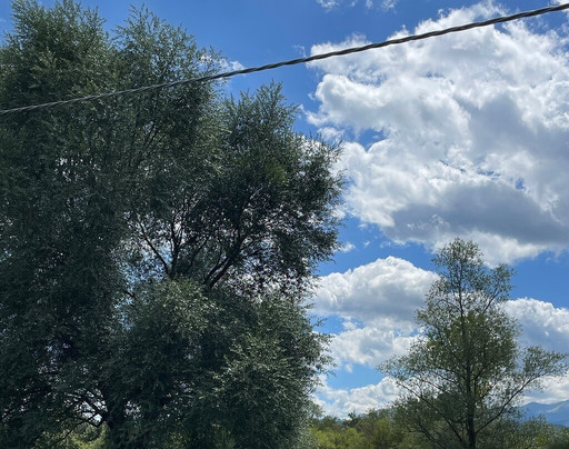 史波特乡村酒店主图