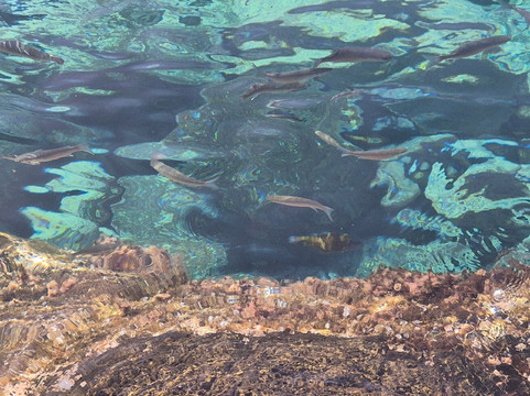 Los Charcones-布兰卡滩必去景点