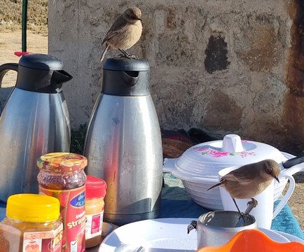 Bale Trek Ethiopia Tours-Goba必去景点