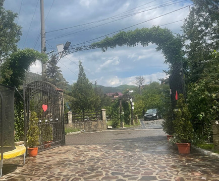 Pensiunea Roza主图