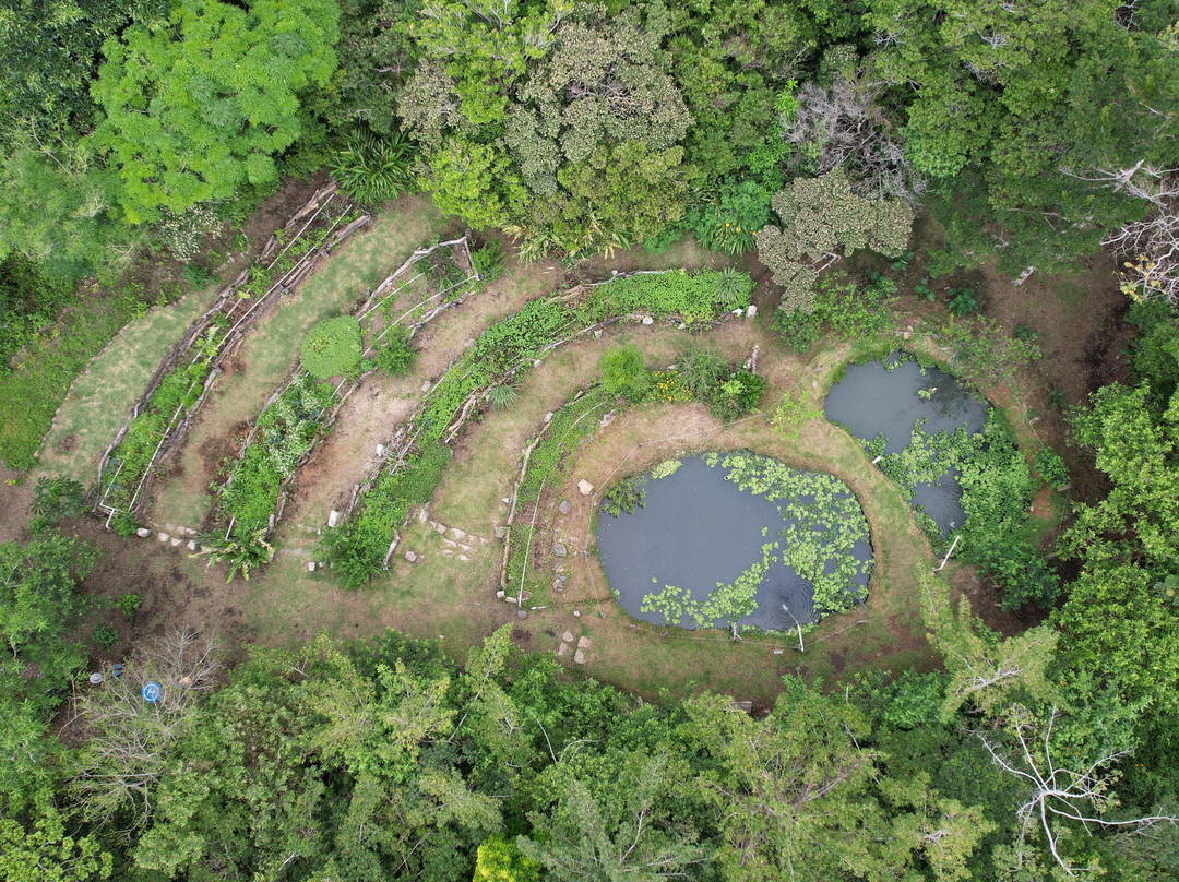 Valle Escondido Permaculture Tour-圣埃伦娜必去景点