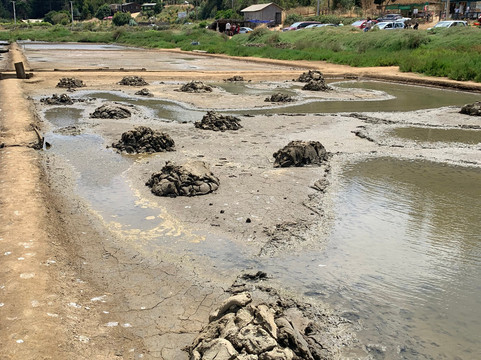 Salinas de Cahuil-皮钦勒姆必去景点