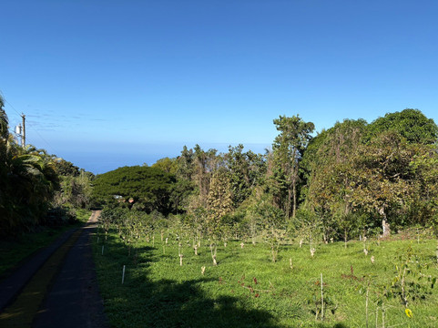 Rancho Aloha-哈陆亚洛亚必去景点