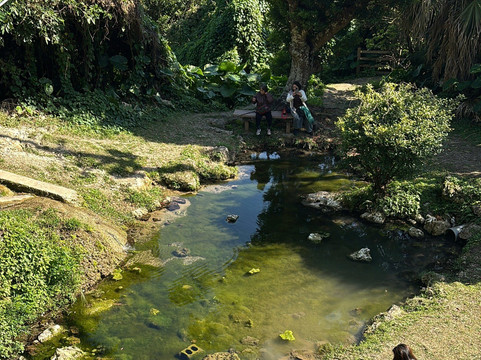 Kakinohanahija-南城市必去景点