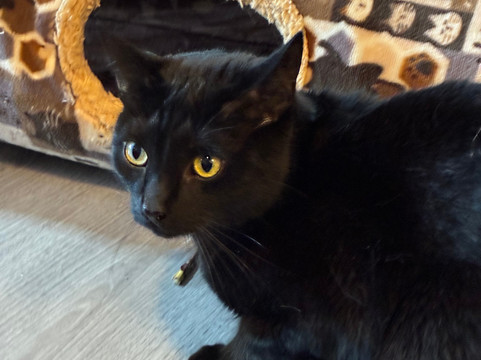 Andover Catfe-Andover必去景点