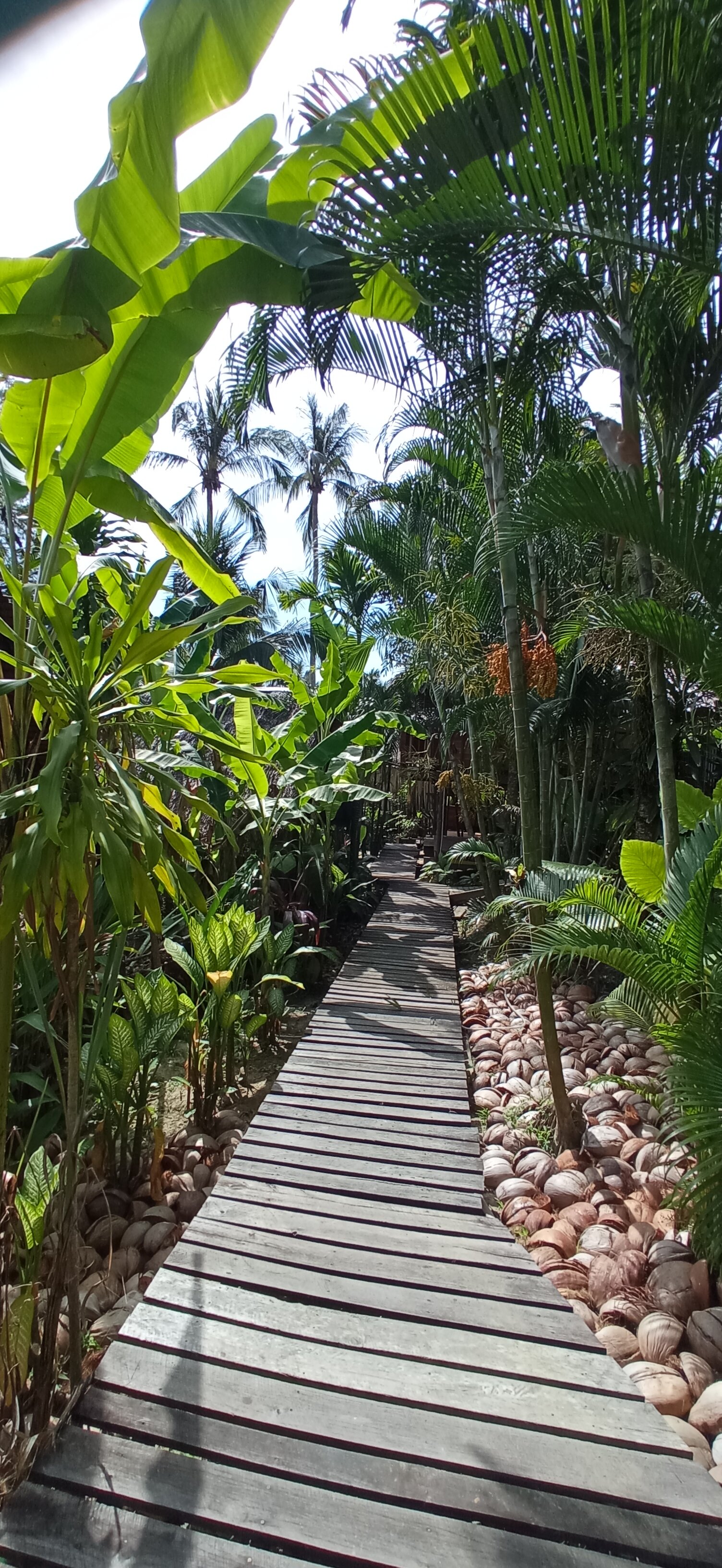 The Tropical Koh Mook-官方