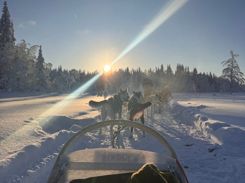 Era-Susi Huskies - Day Tours-Rukatunturi必去景点