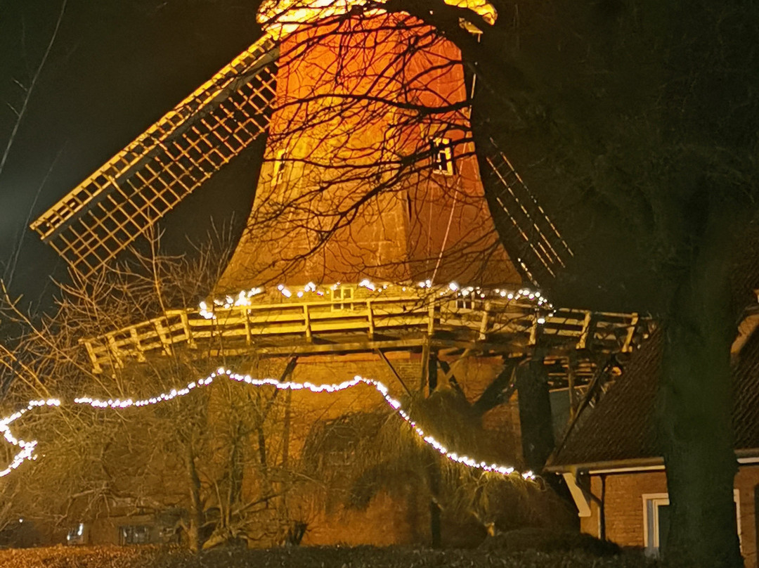Greetsieler Hafen-Greetsiel必去景点