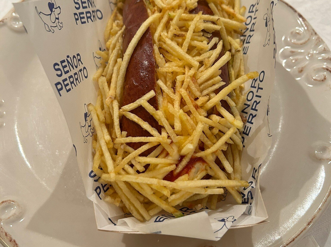 Sr. Perrito