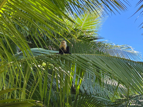 Uvita Beach-乌维塔必去景点
