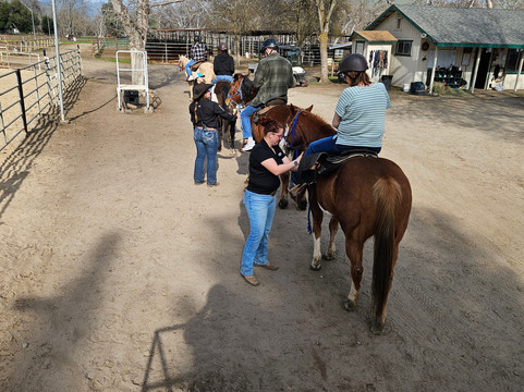 Wonder Valley Ranch Resort主图