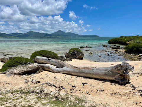 Totof Tours Mauritius-蓝湾必去景点