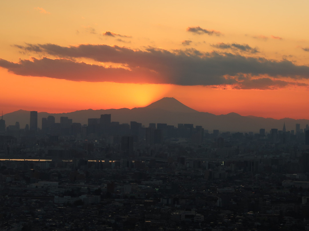 I-link Town Observatory-市川市必去景点
