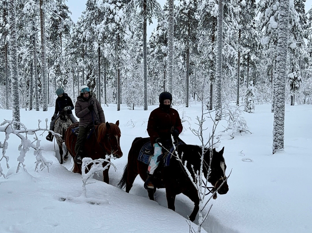 Lucky Ranch-Pyhatunturi必去景点