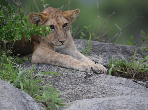 Tumbili-莫西必去景点