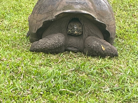 Galapagos by Local Guides-圣克鲁斯必去景点