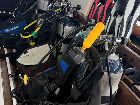 Aquáticos Centro de Mergulho-累西腓必去景点