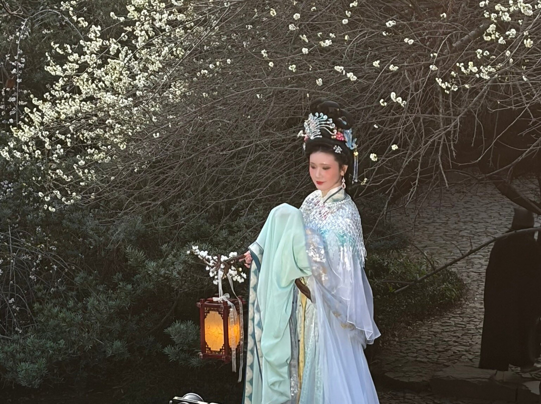 Scarlett Mao Tours-上海市必去景点
