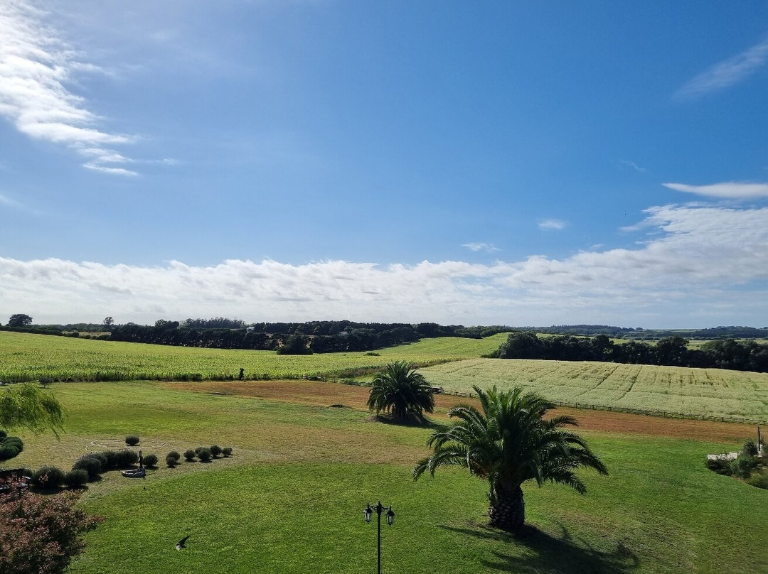 Rocchetta Hotel Boutique主图