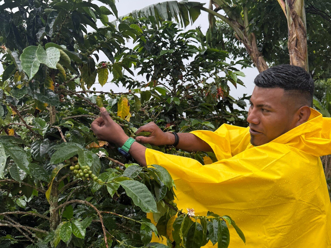 Medellin Coffee Farm Tour-麦德林必去景点