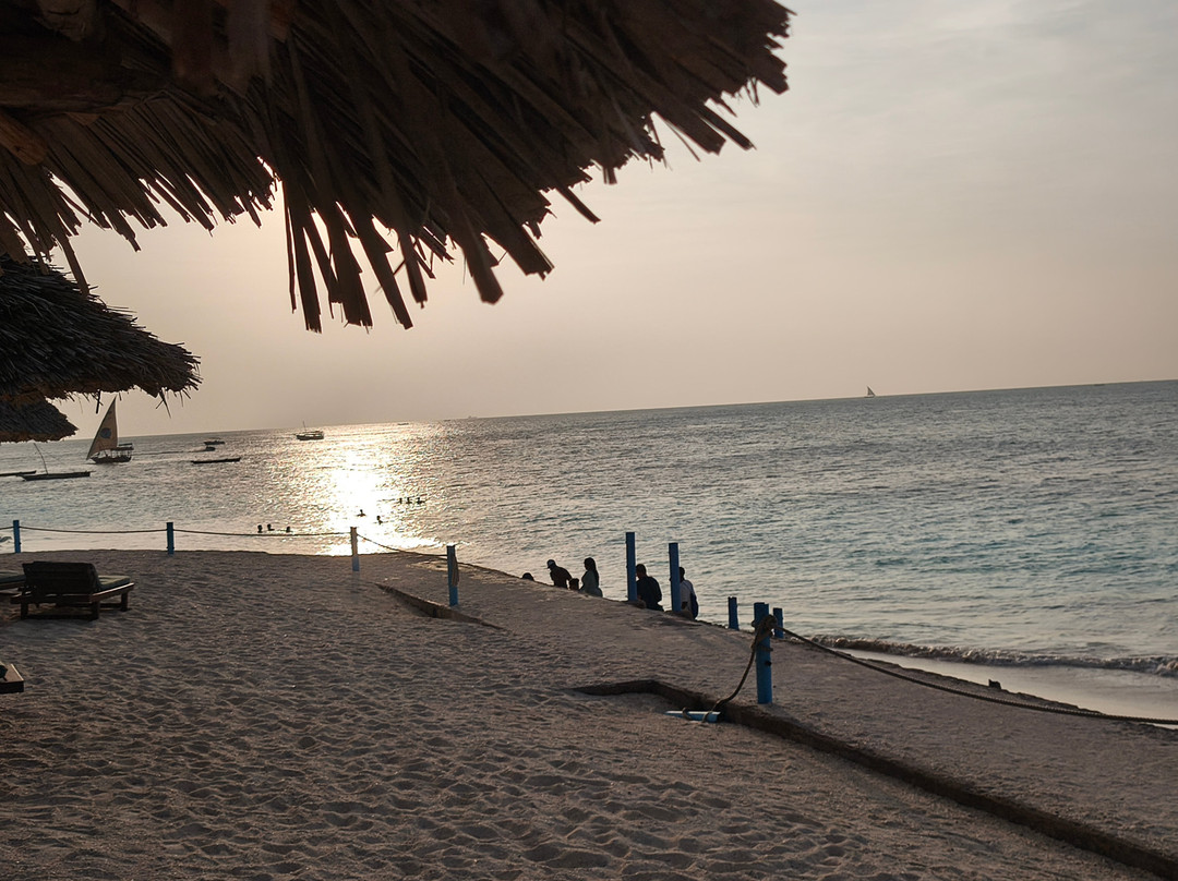 Triple J Zanzibar Tours And Transfers