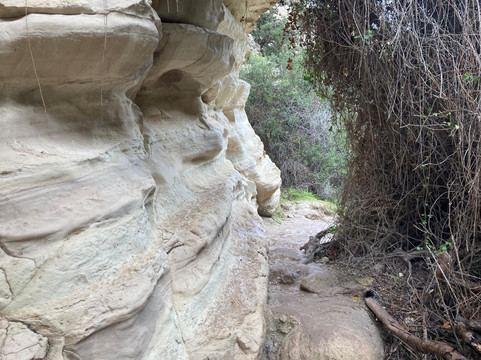 Avakas Gorge-帕福斯必去景点