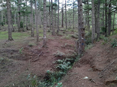 Lang Biang Trail-大勒必去景点