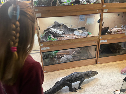 Crocs R Us-Filton必去景点