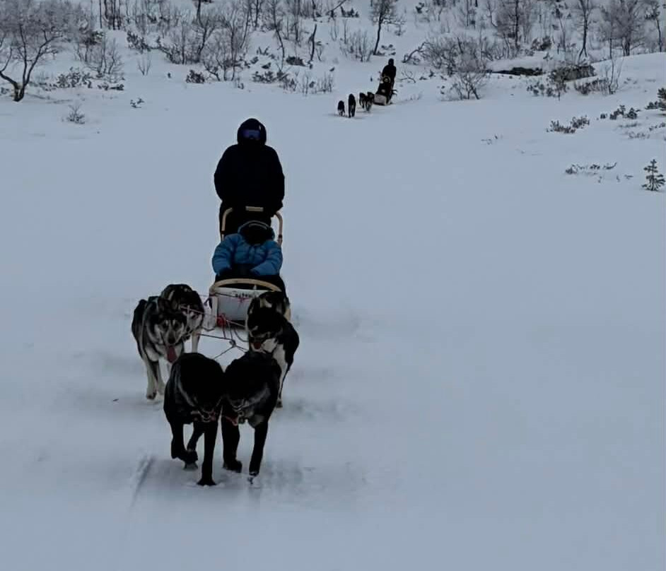 Haukeli Husky-Rauland必去景点