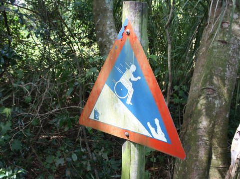 Crocodile Centre St Lucia-圣露西亚必去景点