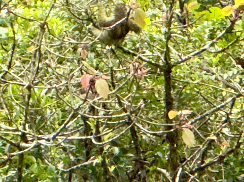 Baltodano Travels-哈科必去景点